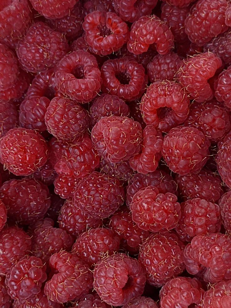 Berry Bounty: Hand-Picked Farm Freshness